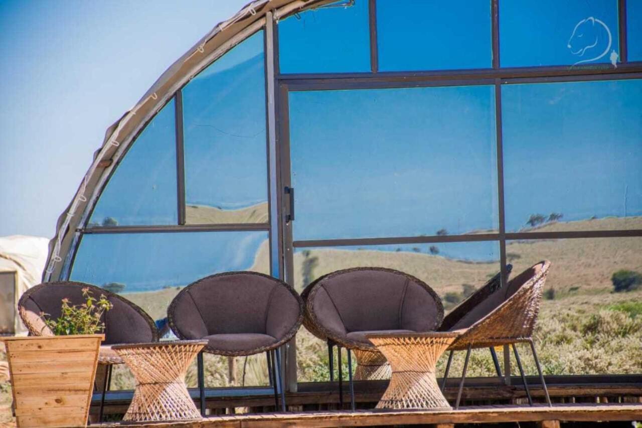 Amanya 2-Rooms Lioness Family Amboseli Εξωτερικό φωτογραφία