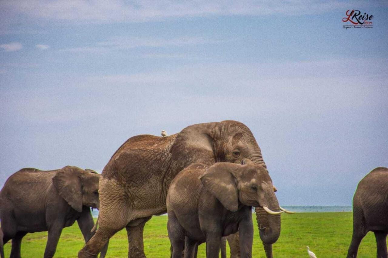 Amanya 2-Rooms Lioness Family Amboseli Εξωτερικό φωτογραφία
